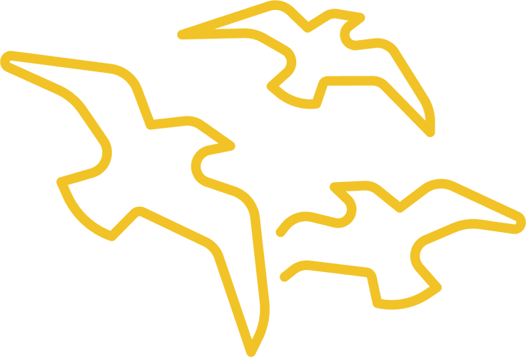 Birds icon