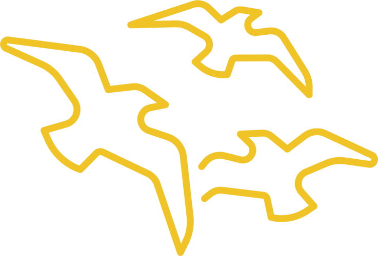 Birds icon