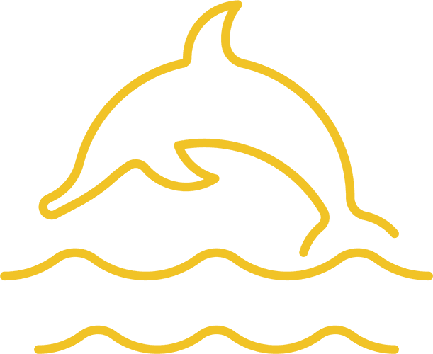 Dolphin ocean icon