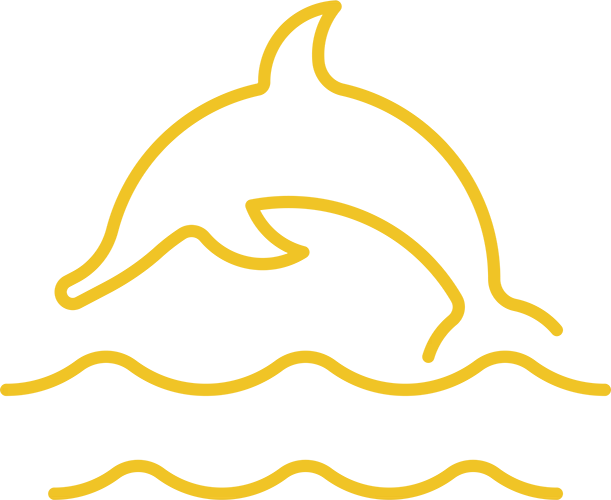 Dolphin ocean icon