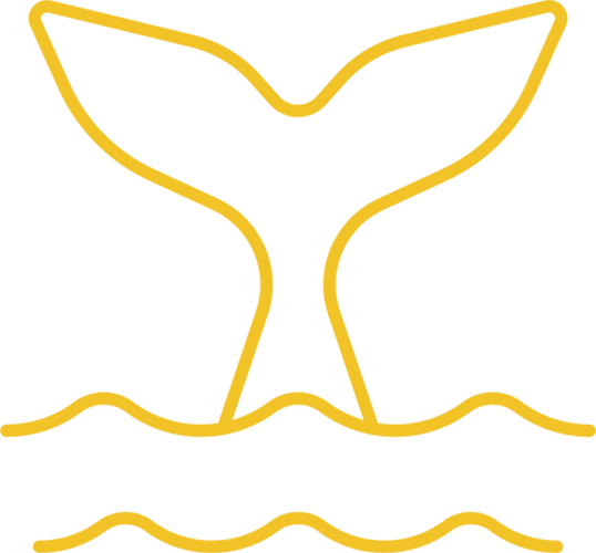 whaletail icon